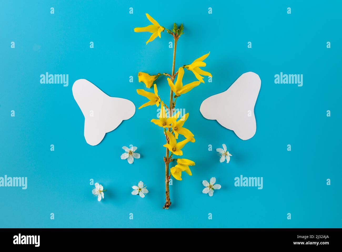Papiersilhouette einer Nase und Frühlingsblumen auf blauem Hintergrund. Saisonales Allergiekonzept. Flach legen, für Text platzieren. Stockfoto