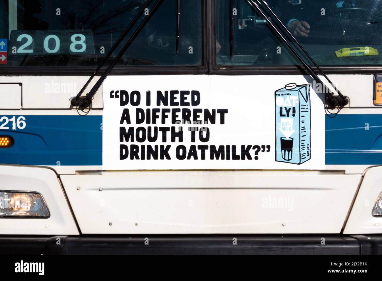 Eine skurrile, witzige, respektlos-skurrile Werbung für Hafermilch auf der Vorderseite eines Busses in Flushing, Queens, New York. Eine von vielen Variationen. Stockfoto