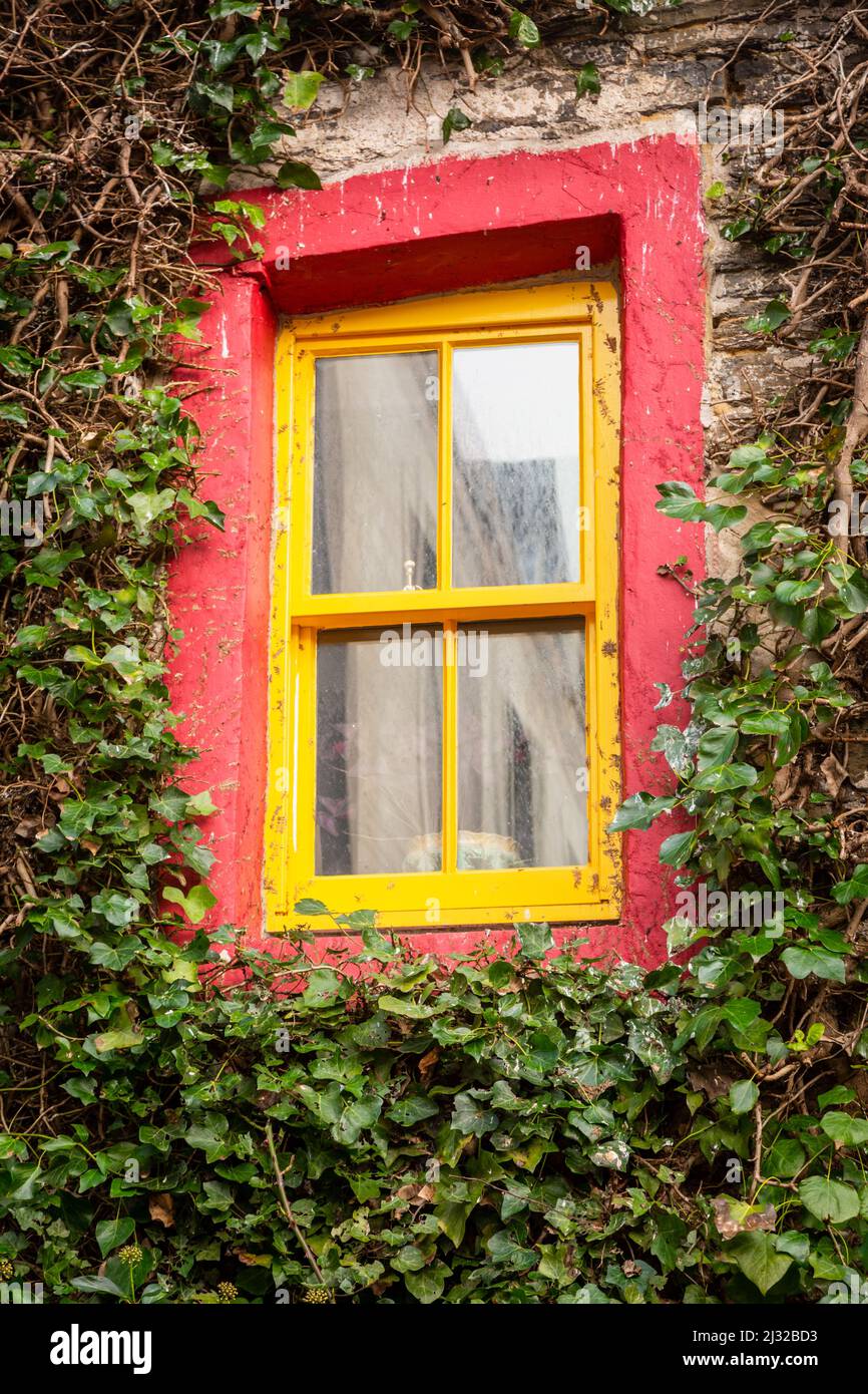 Farbenfroh rot und gelb gestrichener Fensterrahmen, umgeben von Efeublättern Stockfoto