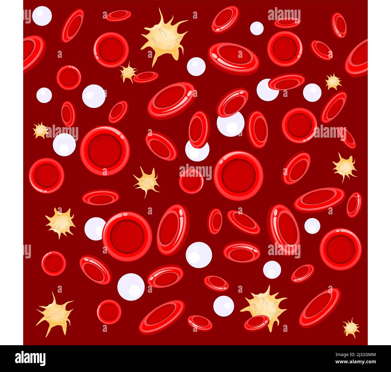 Nahtloses Muster. Rote und weiße Blutkörperchen unter dem Mikroskop. Vektorhintergrund Stock Vektor