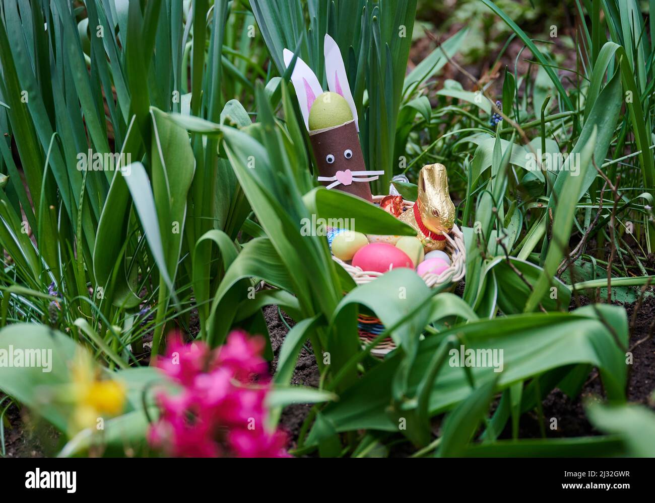 PRODUKTION - 01. April 2022, Berlin: ILLUSTRATION - ein Osternest mit gebranntem Hase, Schokoladenhase, farbigen Eiern und Schokoladeneiern liegt in einem Blumenbeet. (Posierte Szene) Foto: Annette Riedl/dpa Stockfoto