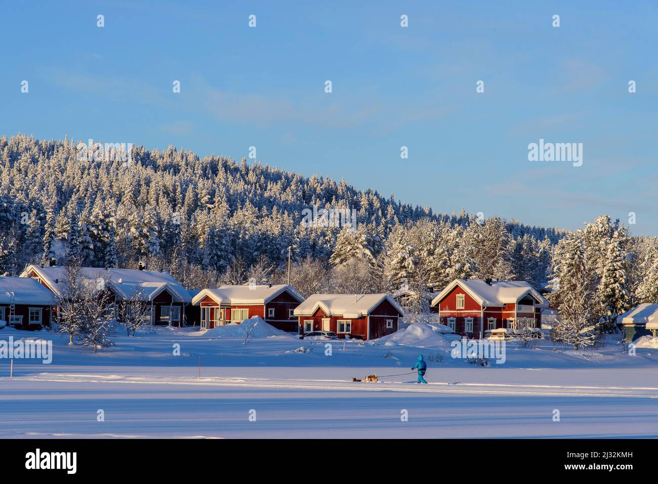 Landschaft bei Aekaeslampolo, Cross-Country Shore, Aekaeslampolo, Finnland Stockfoto