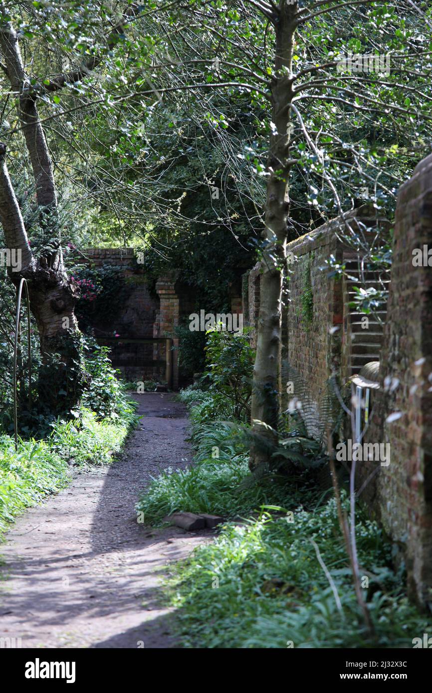 Blick auf einen der alten Wege durch den ummauerten Garten am Warley Place, der aus dem Jahr 1700, Essex, Großbritannien, stammt. Stockfoto