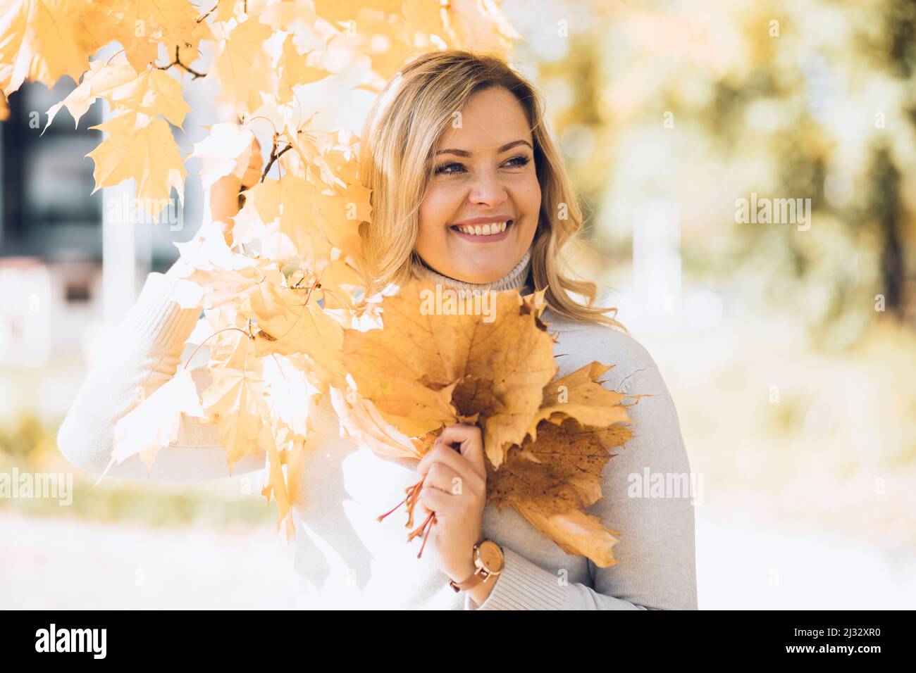 Lachendes blondes Weib, die aufgreift, einen Bund goldgelber Blätter in zwei Händen hält, verschönert Unschärfe. Schließen Stockfoto