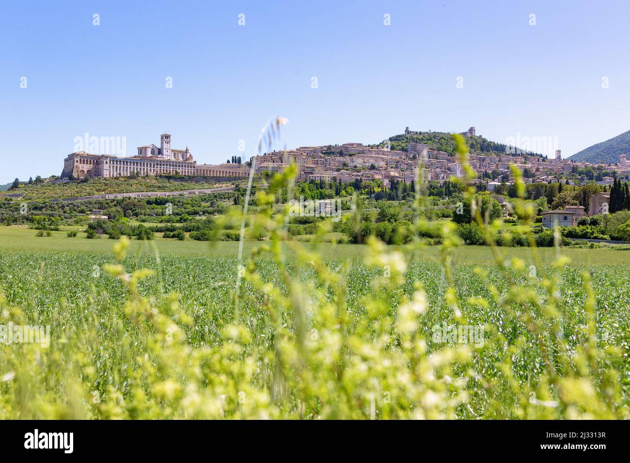 Assisi, Stadtblick mit Basilika San Francesco, Panorama Stockfoto