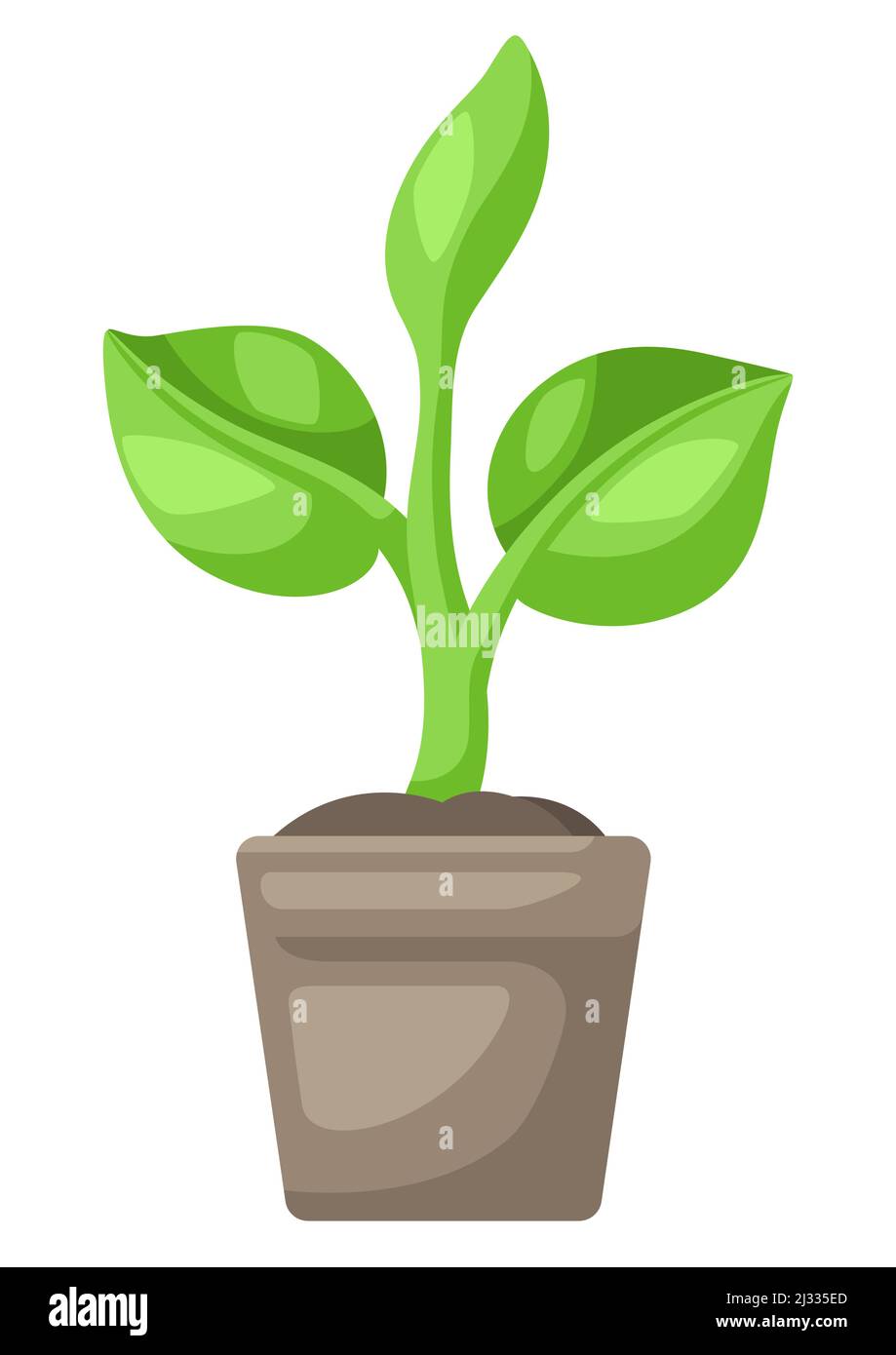 Gekeimter Sämling im Topf. Landwirtschaftliche Pflanzung Abbildung. Stock Vektor