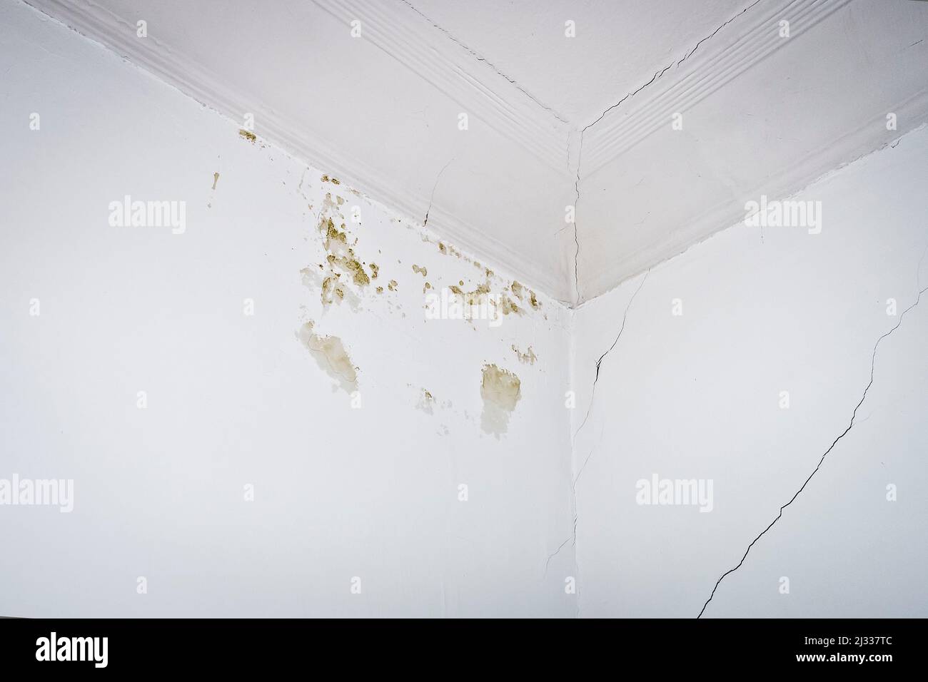 Gebäudeschadenkonzept: Kleine schimmelige Wasserflecken und Risse in Wänden und Deckenstuck eines alten Hauses. Stockfoto