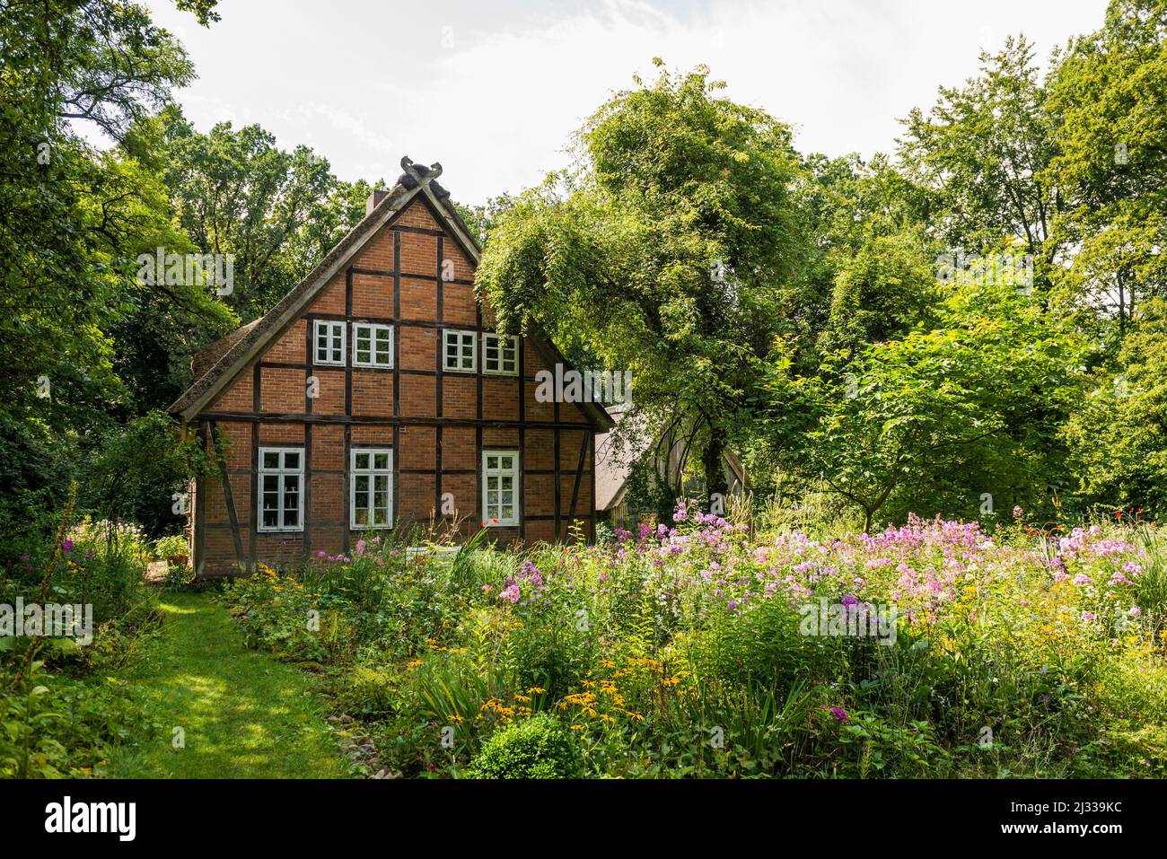 Reetgedeckten Bauernhof, Wilsede, Naturpark Lüneburger Heide, Niedersachsen, Deutschland Stockfoto