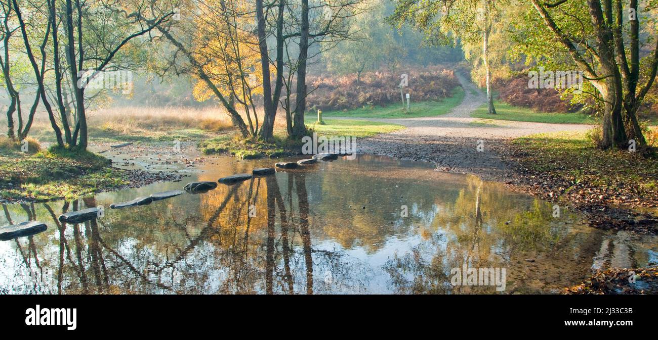 Herbstliche Stepping Stones über Sher Brook, im Sherbrook Valley, Cannock Chase AONB (Gebiet von außergewöhnlicher natürlicher Schönheit) in Staffordshire England, Großbritannien Stockfoto