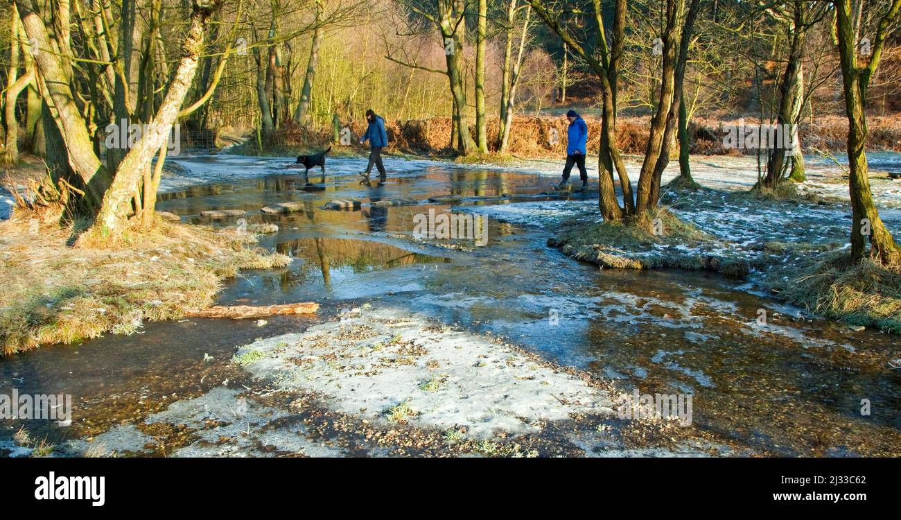 Wanderer mit Hund bei Stepping Stones, Sher Brook, Sherbrook Valley, Cannock Chase AONB (Gebiet von außergewöhnlicher natürlicher Schönheit) in Staffordshire England Stockfoto