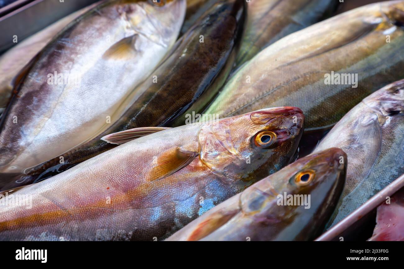 Vom Fischmarkt in Marsaxlokk auf Malta Stockfoto