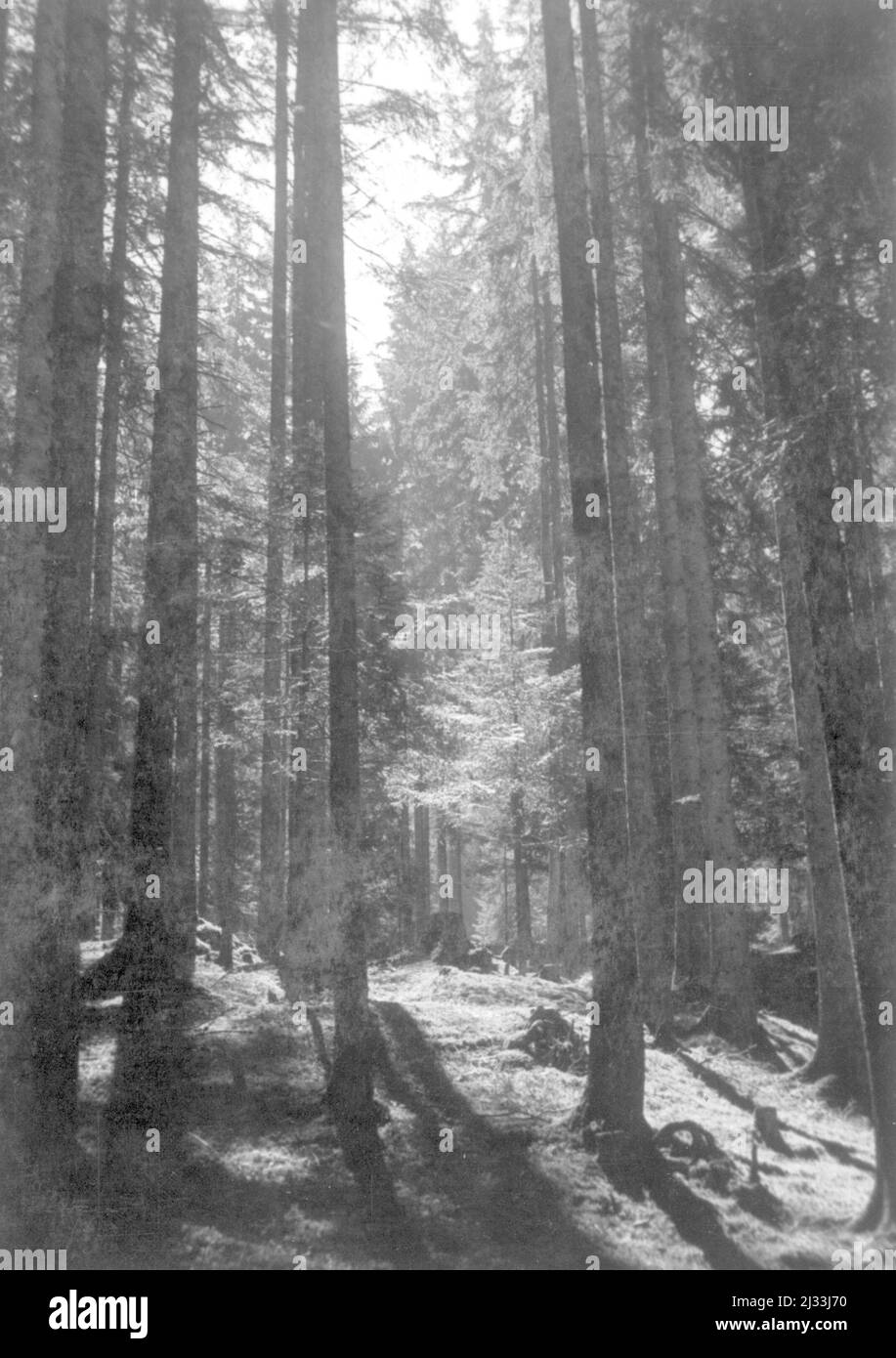 Eva Brauns Fotoalben, ca. 1913 - ca. 1944. Diese Alben werden Eva Braun zugeschrieben (vier werden von ihrer Freundin Herta Schneider, geb. Ostermeyer, beansprucht) und dokumentieren ihr Leben aus ca. 1913 bis 1944. Es gibt viele Fotos von Eva, ihren Schwestern und ihren Kindern, Herta Schneider und ihren Kindern, sowie Fotos von Evas Ferien, Familienmitgliedern und Freunden. Dazu gehören Fotografien von und von Eva Braun im Hitlerhaus Berghof (oder Kehlstein), Fotografien von Hitler und seinem Gefolge, Besucher von Berghof und der Landschaft um Berchtesgaden sowie einige Studioporträts von Eva Stockfoto