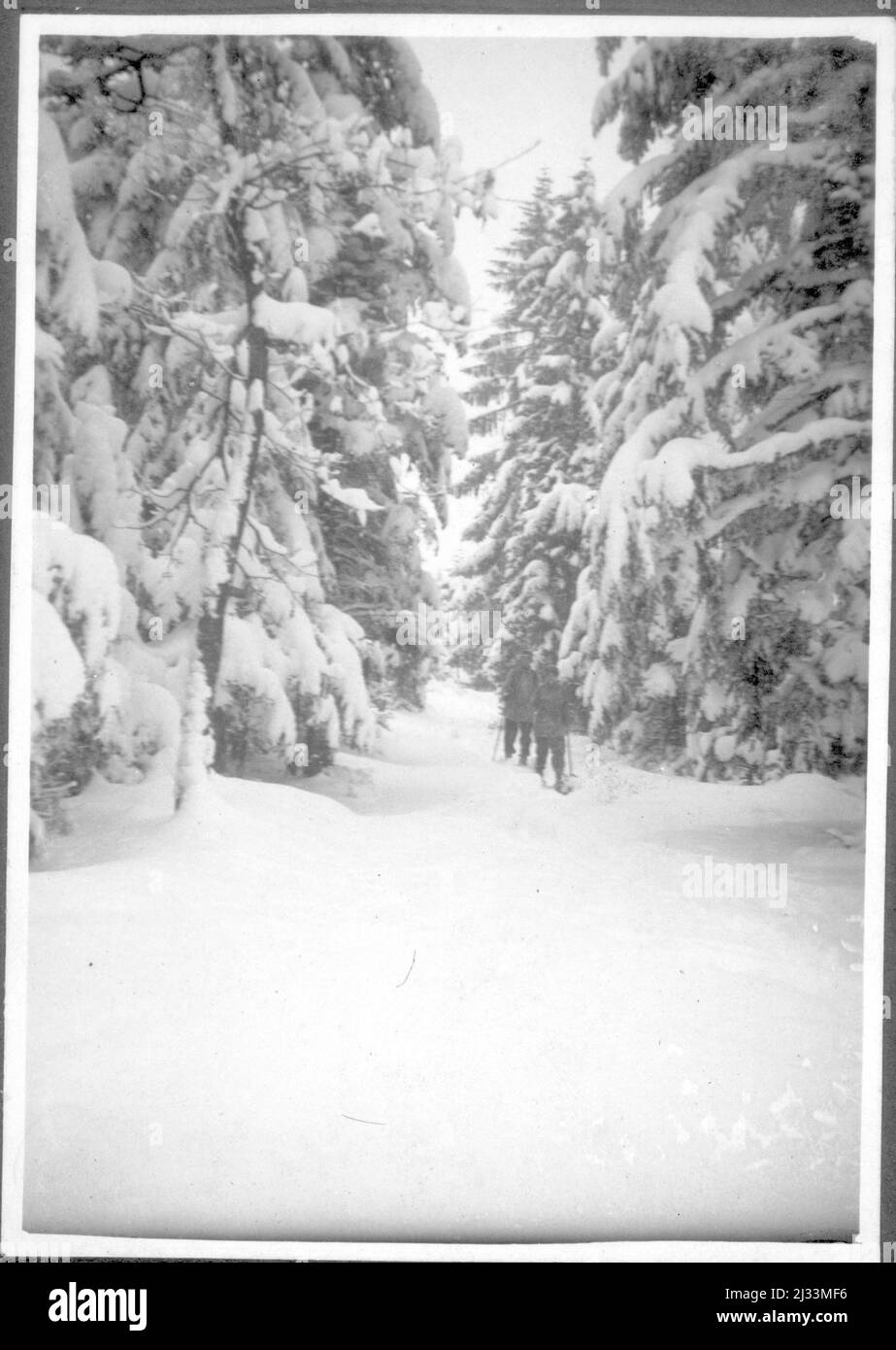 Eva Brauns Fotoalben, ca. 1913 - ca. 1944. Diese Alben werden Eva Braun zugeschrieben (vier werden von ihrer Freundin Herta Schneider, geb. Ostermeyer, beansprucht) und dokumentieren ihr Leben aus ca. 1913 bis 1944. Es gibt viele Fotos von Eva, ihren Schwestern und ihren Kindern, Herta Schneider und ihren Kindern, sowie Fotos von Evas Ferien, Familienmitgliedern und Freunden. Dazu gehören Fotografien von und von Eva Braun im Hitlerhaus Berghof (oder Kehlstein), Fotografien von Hitler und seinem Gefolge, Besucher von Berghof und der Landschaft um Berchtesgaden sowie einige Studioporträts von Eva Stockfoto