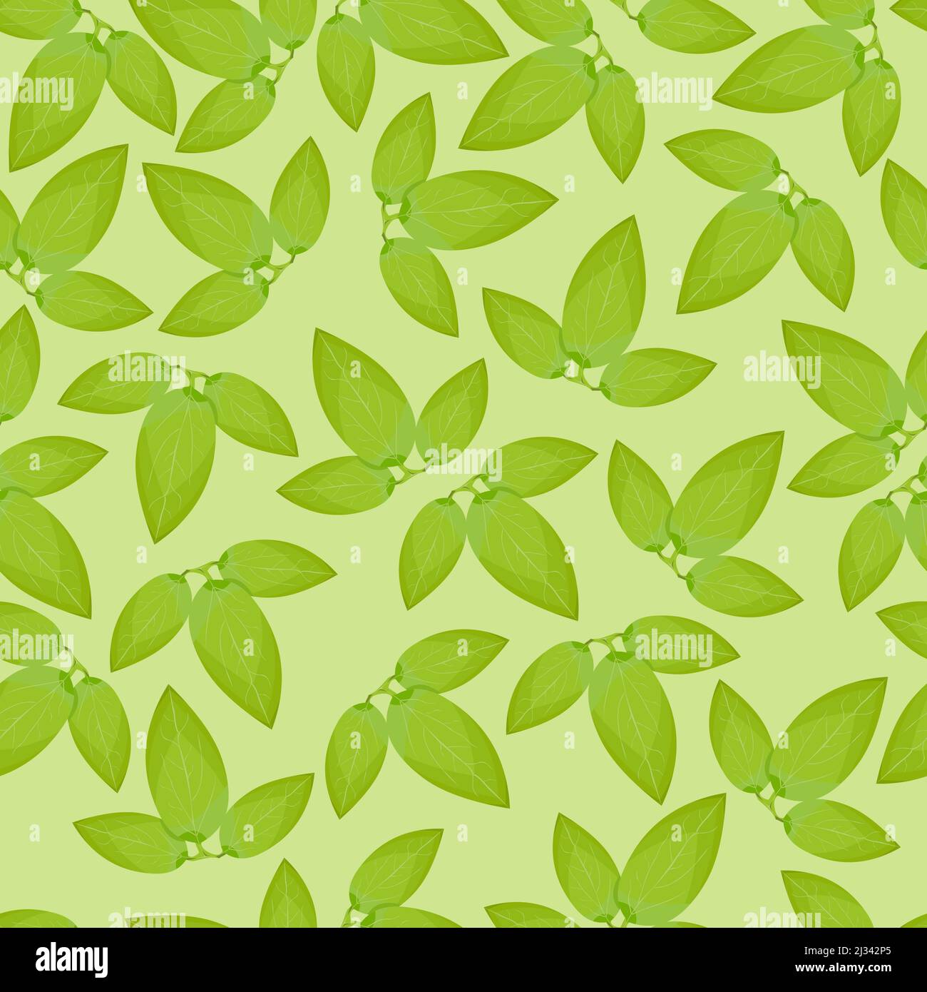 Nahtloses Muster aus grünen Blättern von Clematis-Blüten auf hellgrünem Hintergrund Stock Vektor