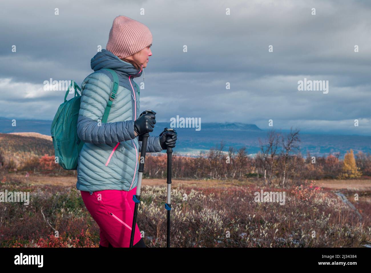Frau, die im Herbst im Nationalpark Pieljekaise in Lappland in Schweden wandert Stockfoto
