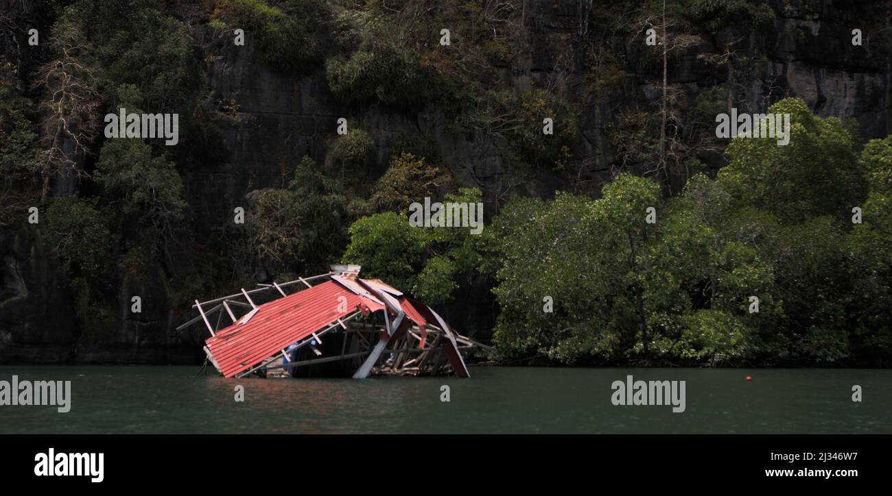 Langkawi-Mangroven Stockfoto