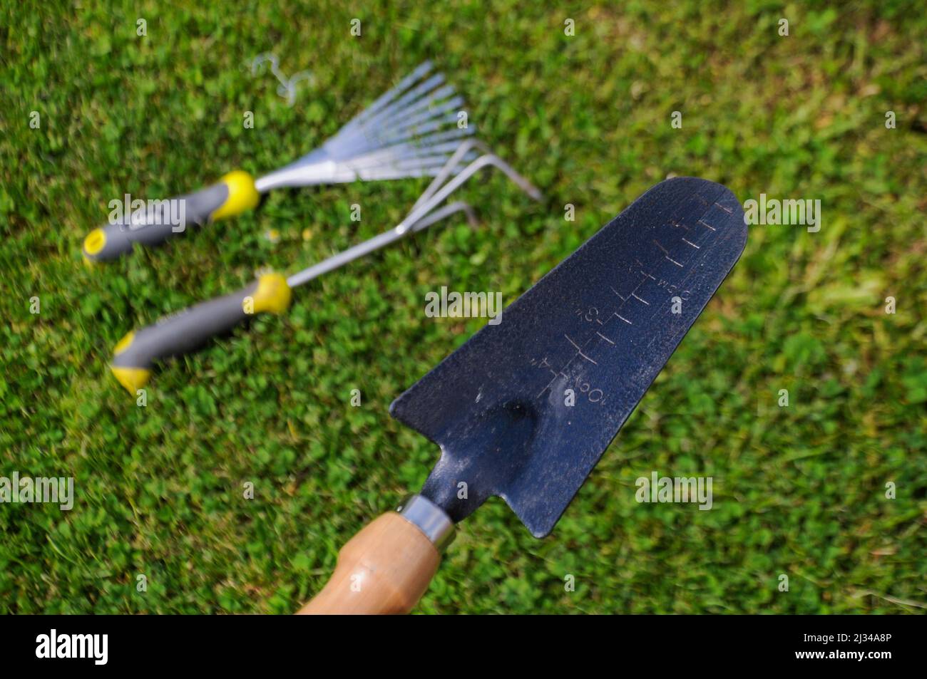 Gartengeräte auf einem grasgrünen Hintergrund. Konzentrieren Sie sich auf eine Metallkelle Stockfoto