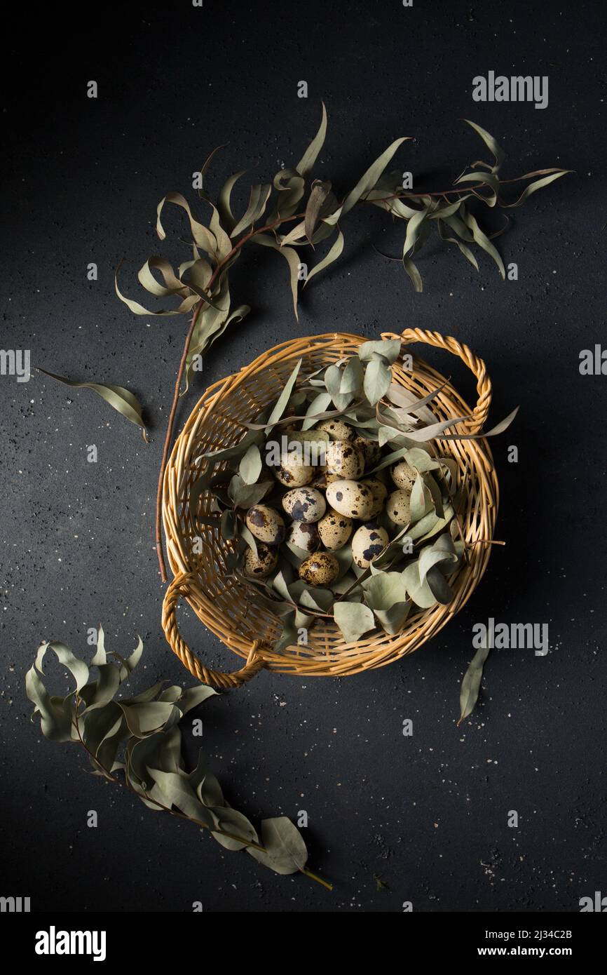 Wachteleier im Korb mit Eukalyptuszweigen Stockfoto
