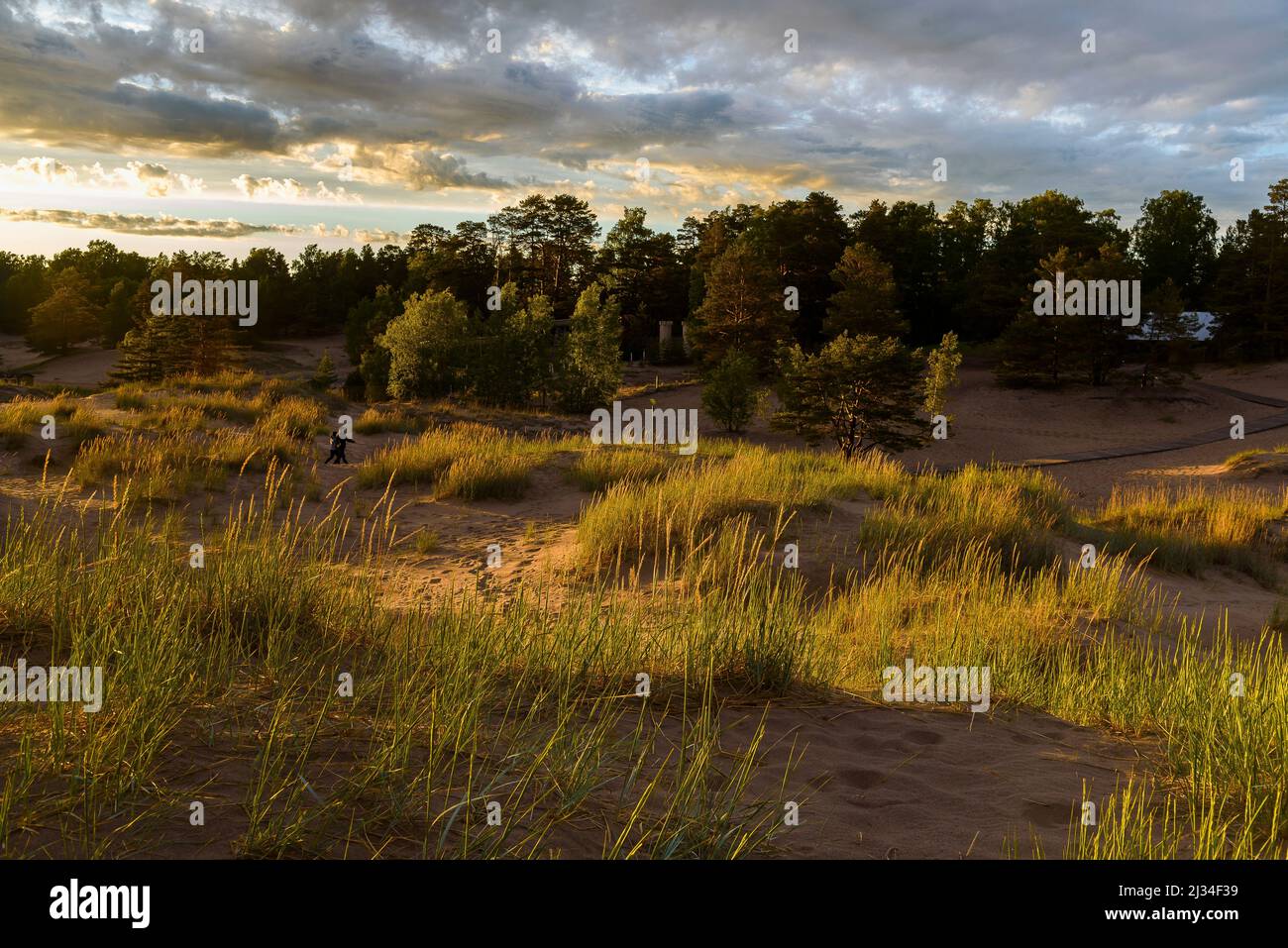 Beliebter Strand in Yyteri, Pori, Finnland Stockfoto