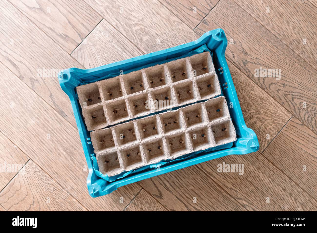 Emty biologisch abbaubare Papier Sämling Box Torf Sämling Töpfe auf Holzboden Stockfoto