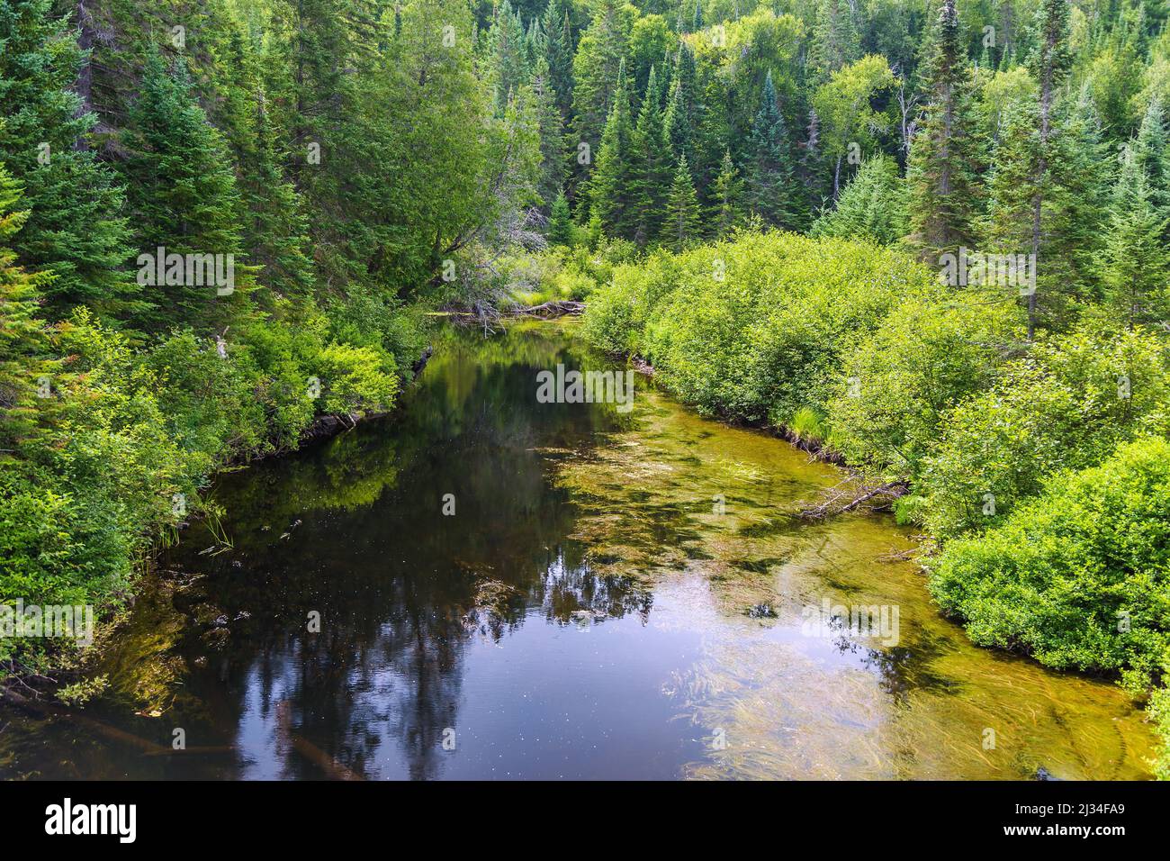 Algonquin Provincial Park, Madawaska River Stockfoto