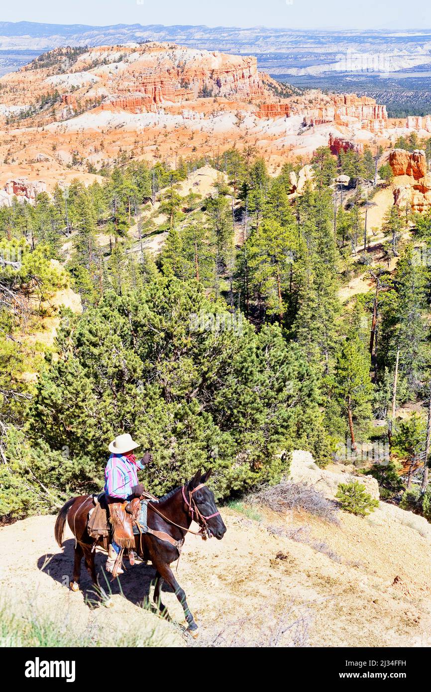 Reiter, Bryce Canyon, Bryce Canyon National Park, Utah, USA Stockfoto