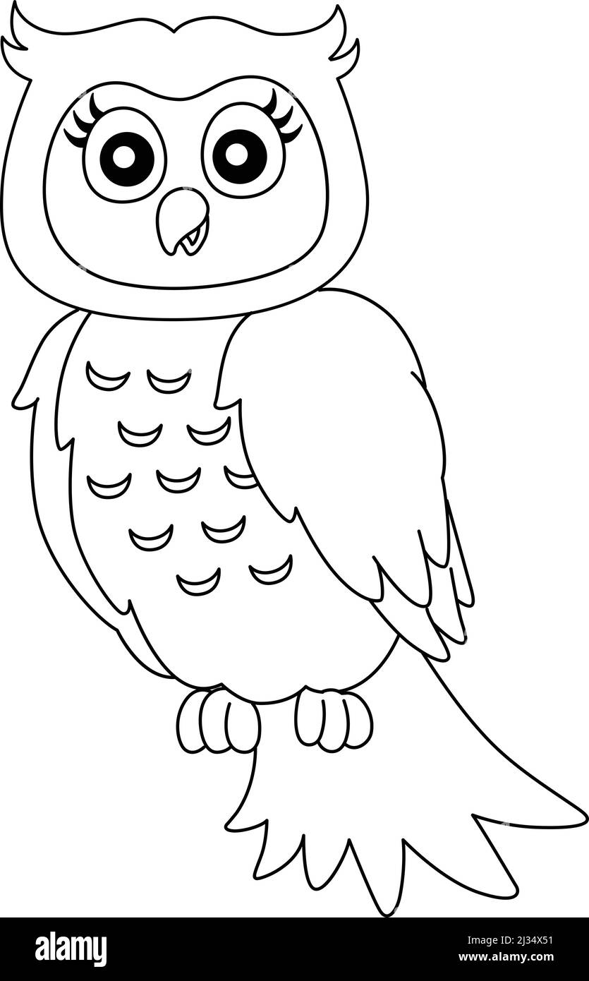 Eule auf Einem Baumzweig Malseite isoliert Stock Vektor