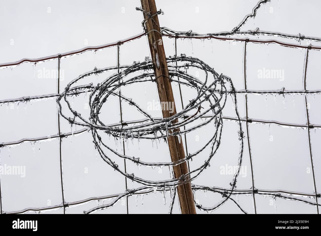 Stacheldrahtzaun tropft Eiszapfen nach einem eisigen Regen in Michigan, USA Stockfoto