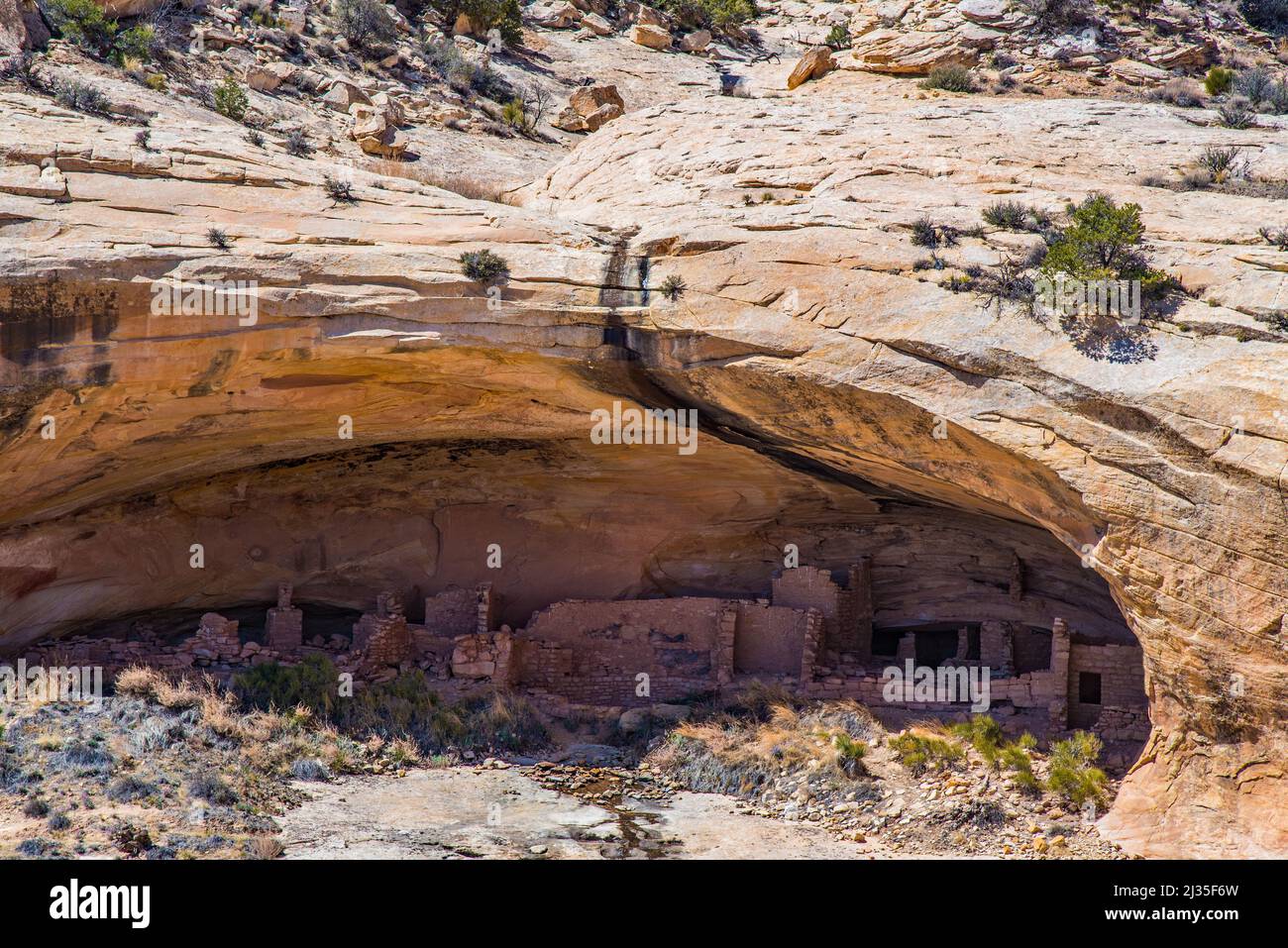 Puebloan Ruinen in Butler Wash, Bears Ears National Monument. Diese Website stammt aus der Zeit um 1200-1300 u.Z. Stockfoto