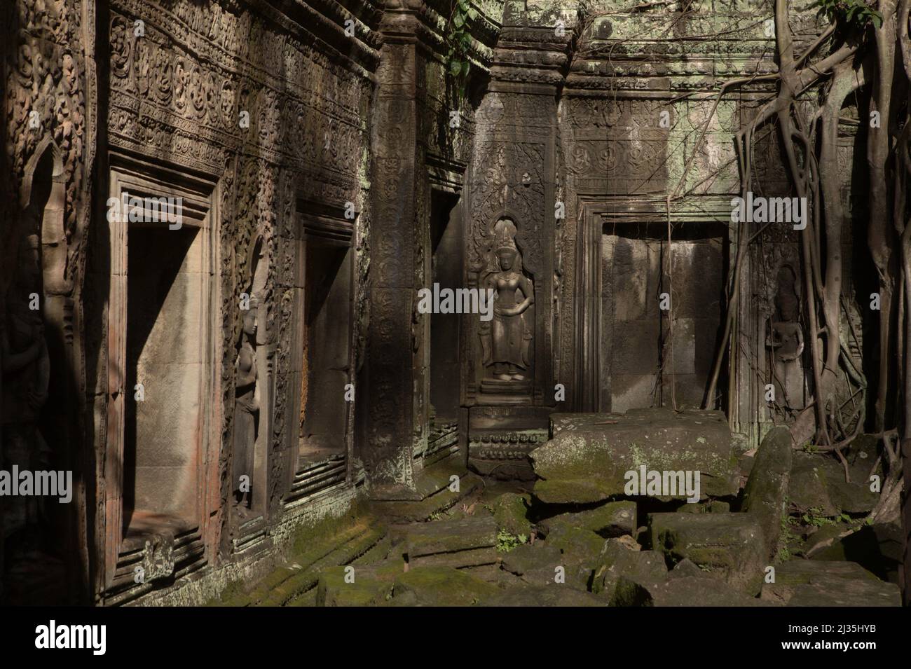 Eine Ecke am Ta Prohm Tempel in Siem Reap, Kambodscha. Stockfoto