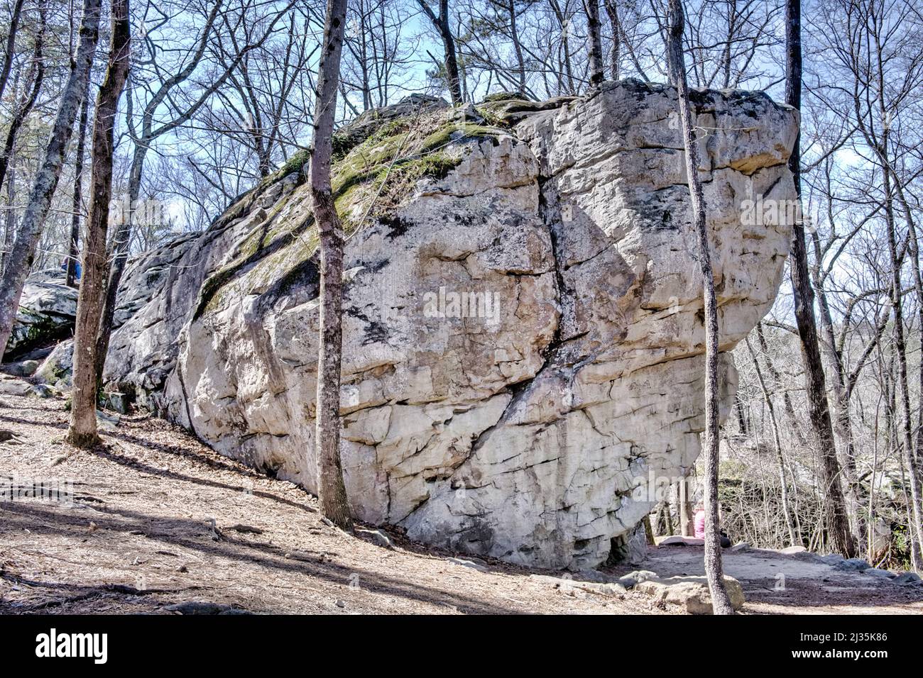 Felsbrocken im Moss Rock Preserve in Hoover, Alabama, USA Stockfoto