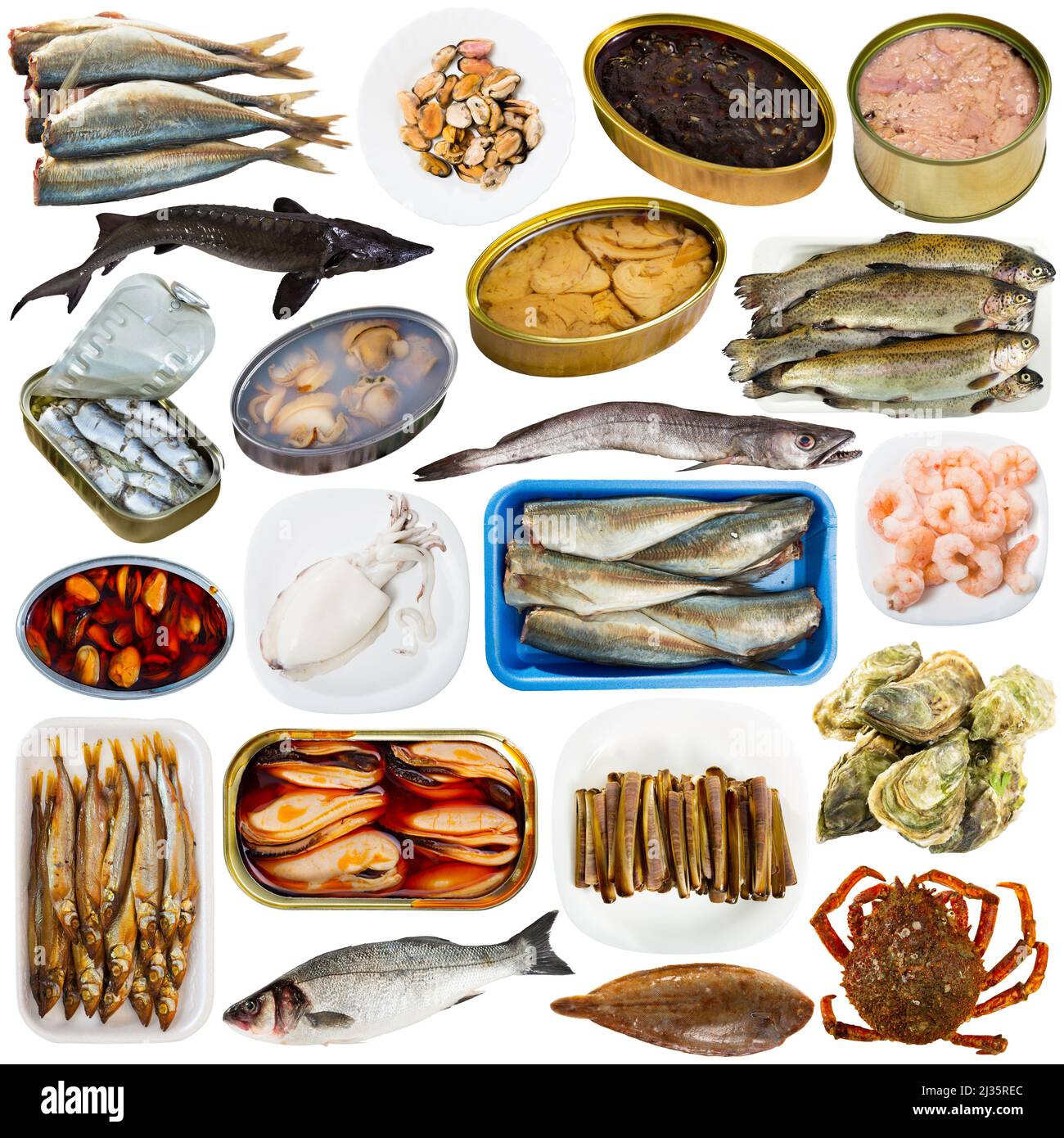 Sammlung von rohem Fisch und halbfertigen Meeresfrüchten Stockfoto