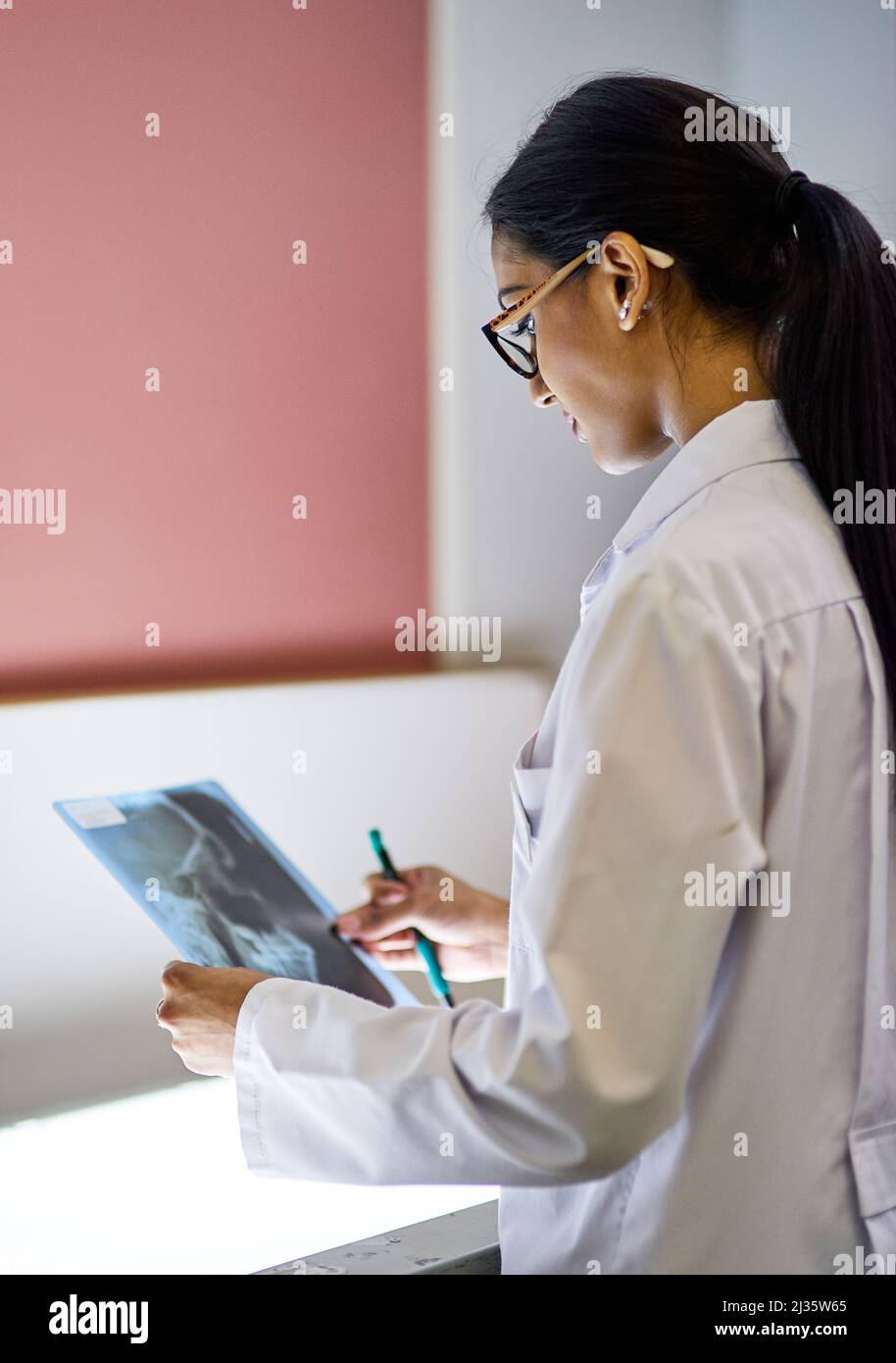 Ihre Mundgesundheit ist untrennbar mit Ihrer allgemeinen Gesundheit verbunden. Ausgeschnittene Aufnahme einer jungen Zahnärztin, die einen Röntgenstrahl analysiert. Stockfoto
