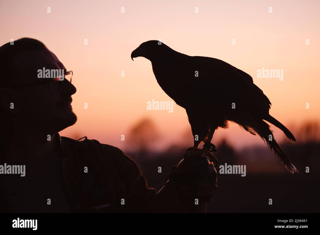 Silhouette von Mensch und wildem Vogel über dem Sonnenuntergang Blick auf einander Bussard oder Adler Symbol der Macht, Sieg, Mut, Größe und spirituelle Stockfoto
