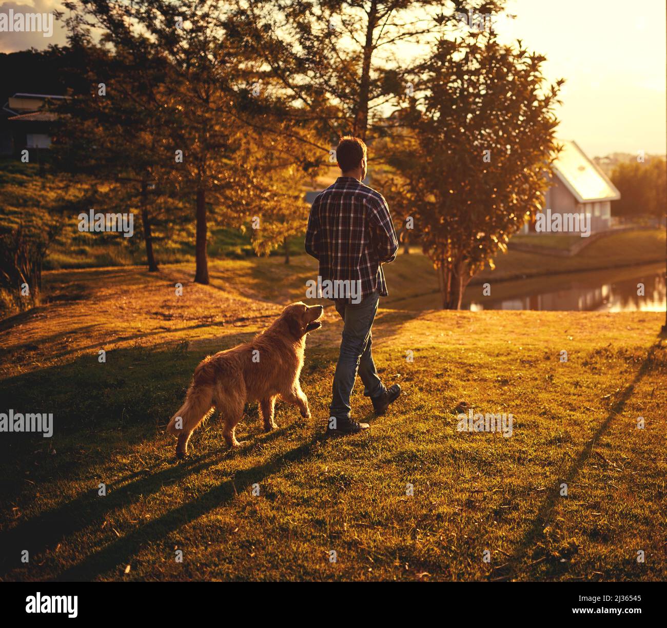 Super abseits der Leine. Ganzkörperaufnahme eines hübschen jungen Mannes, der mit seinem Hund durch den Park läuft. Stockfoto