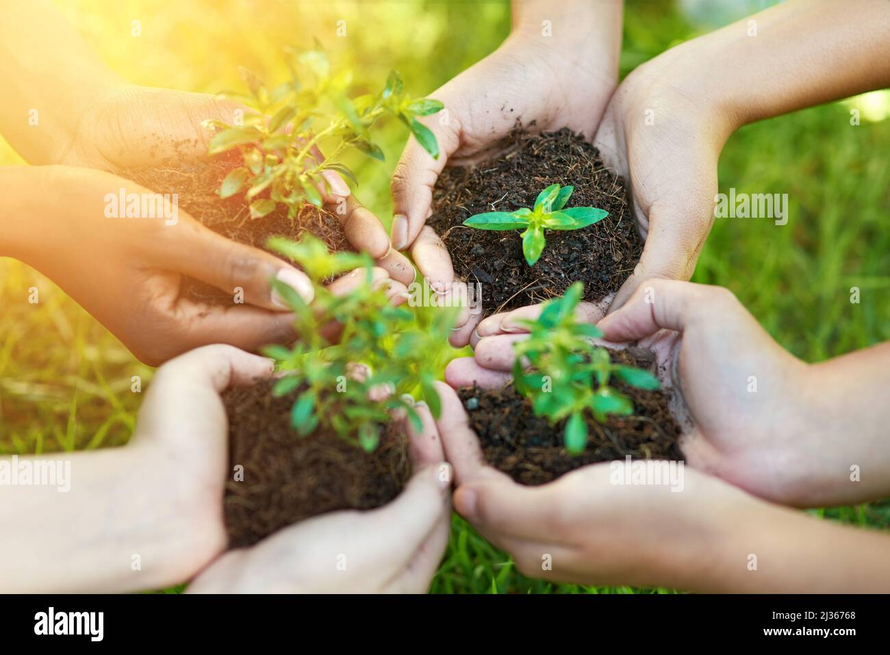 Schutz unserer wertvollen Ressourcen. Ein kurzer Schuss einer Gruppe von Menschen, die jeweils eine im Boden wachsende Pflanze halten. Stockfoto