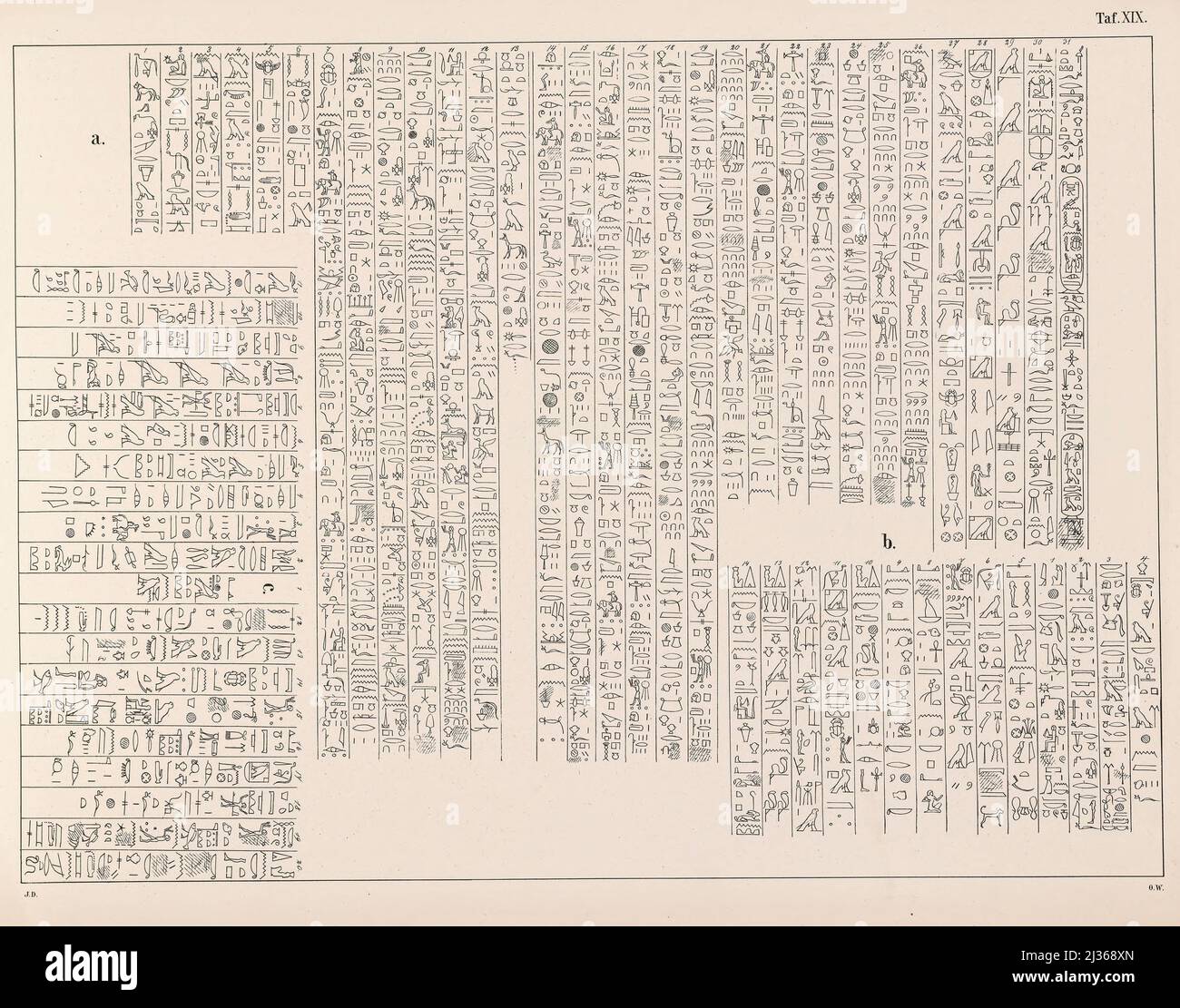 Hieroglyphen im Deir elBahari Tempel aus dem Buch