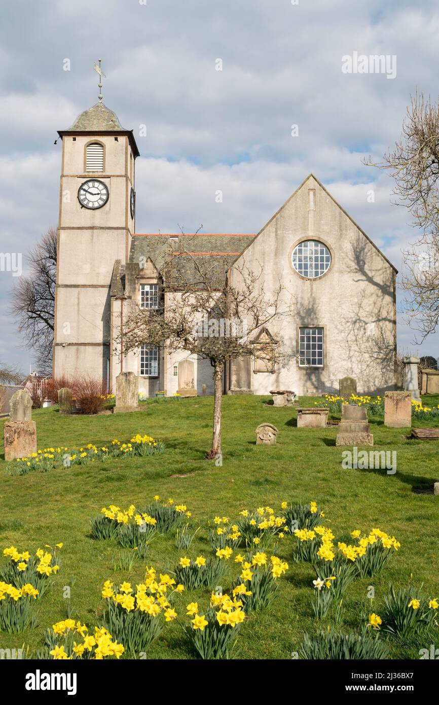 Narzissen vor der St. Mary’s and Old Parish Church, Hawick, Scottish Borders, Schottland, Großbritannien Stockfoto