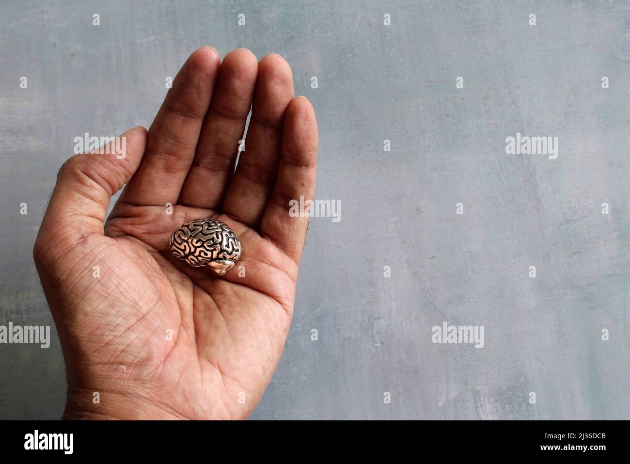 Hand halten Gehirnmodell mit Copy Space für Text. Medizinisches, psychisches Gesundheitskonzept. Stockfoto