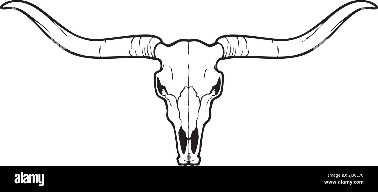 Kopfschädel Longhorn (Stier- oder Kuhsymbol). Vektorgrafik. Stock Vektor