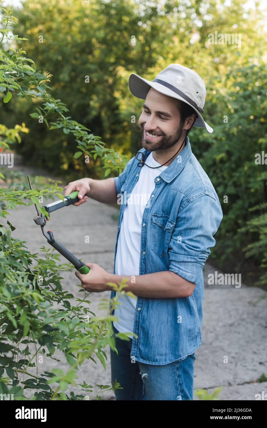 Glücklicher Gärtner im Hutkrempe, der Büsche mit einer Schere beschnitt Stockfoto