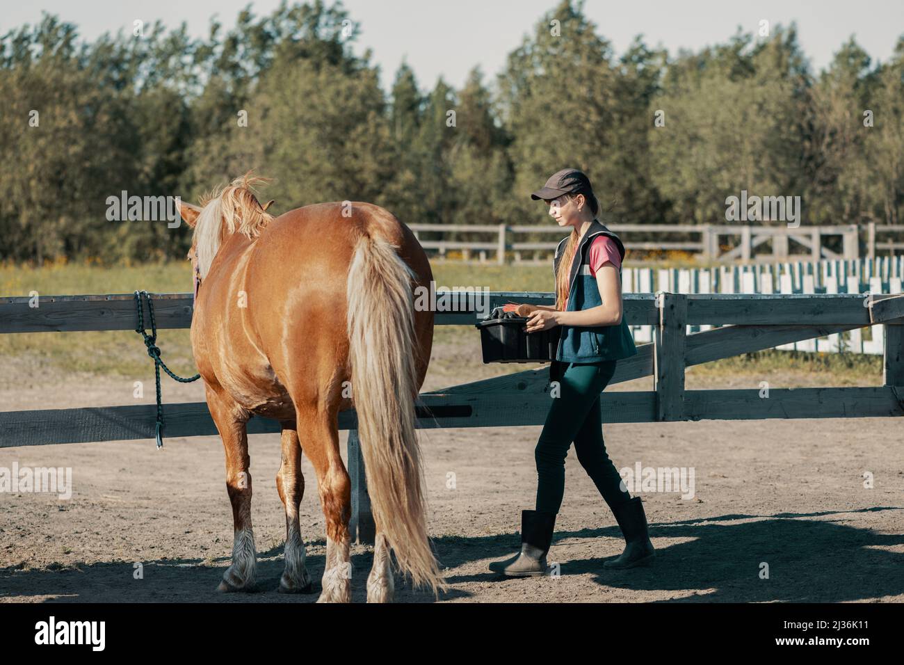 Lächelnde weibliche Teenager, die mit einem Karton Pflegezubehör in den Händen zu einem Pferd aufsteigen. Gebundenes Pferd, das in der Nähe des Holzzauns steht. Stockfoto