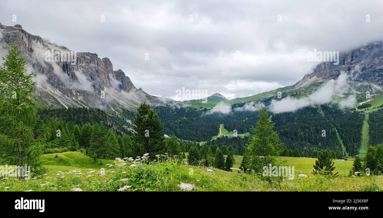 Wolken in der Berglandschaft, schöner Naturhintergrund, grüne Bäume Stockfoto