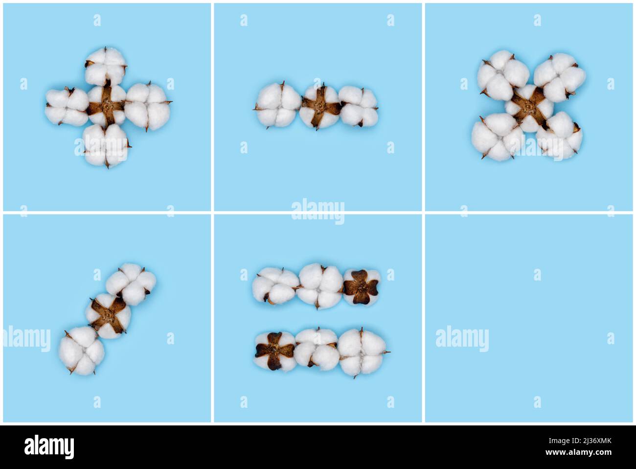 Kit von grundlegenden mathematischen Zeichen aus Baumwollblumen und isoliert auf festem blauen Hintergrund. Florales Alphabet und Zahlenkonzept. Teil des Sets aus Baumwolle f Stockfoto