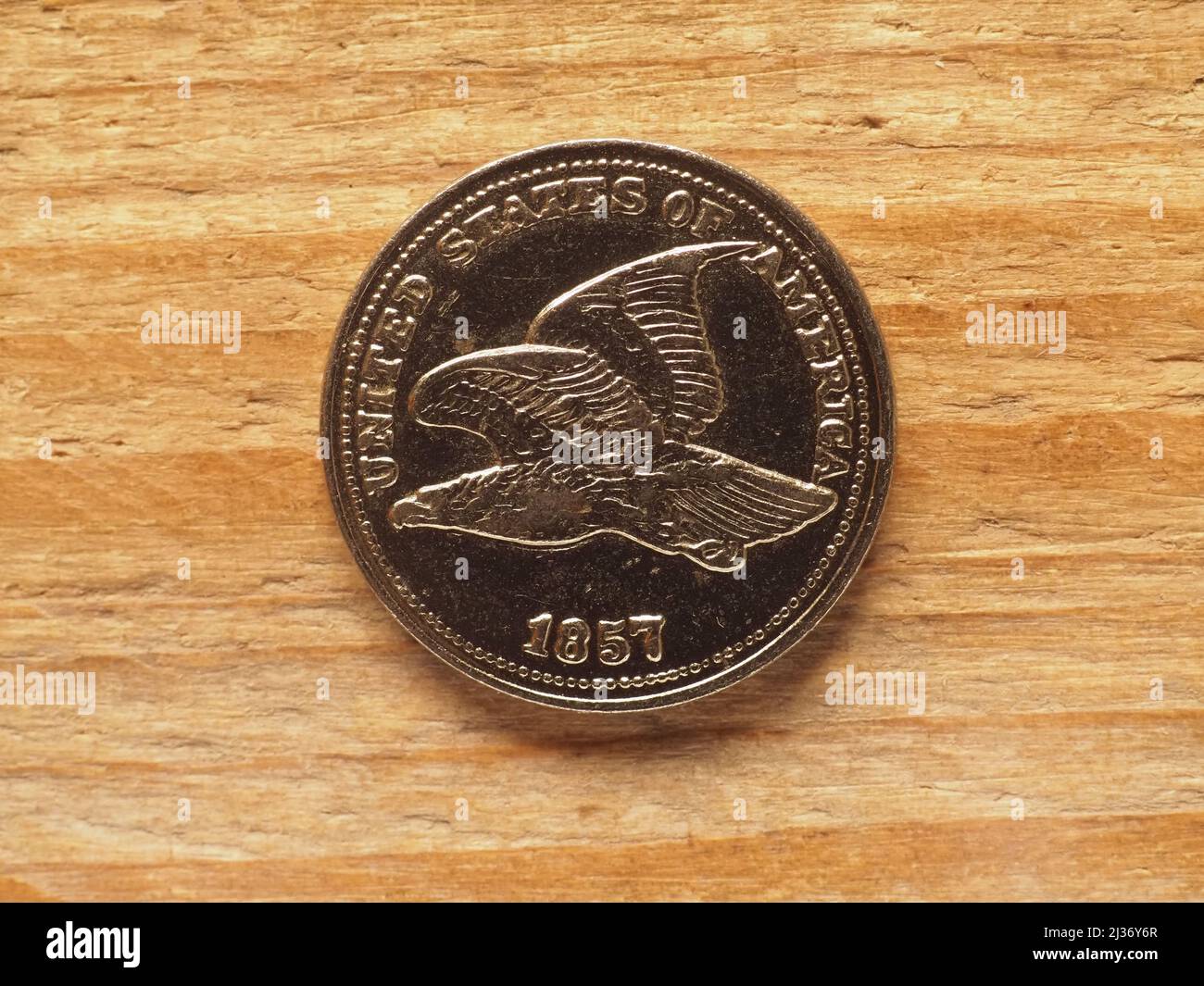 Währung der Vereinigten Staaten 1-Dollar-Cent-Münze auf der Vorderseite zeigt Flying Eagle Stockfoto