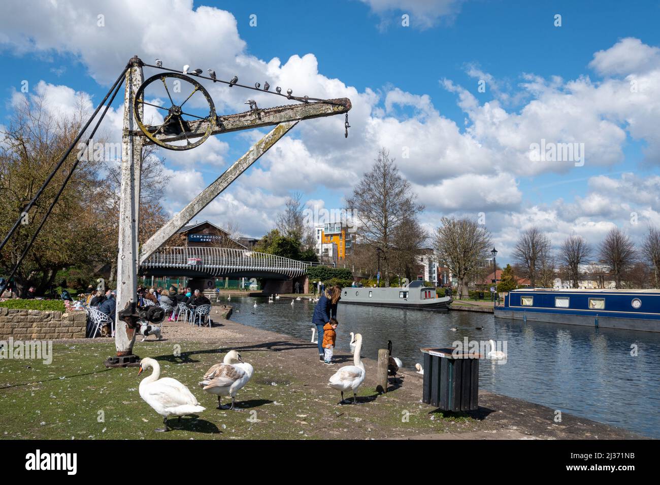 Der Kennet und Avon Canal in Newbury, Bekshire, England, Großbritannien, an einem sonnigen Frühlingstag mit Schwanen und Kanalbooten Stockfoto