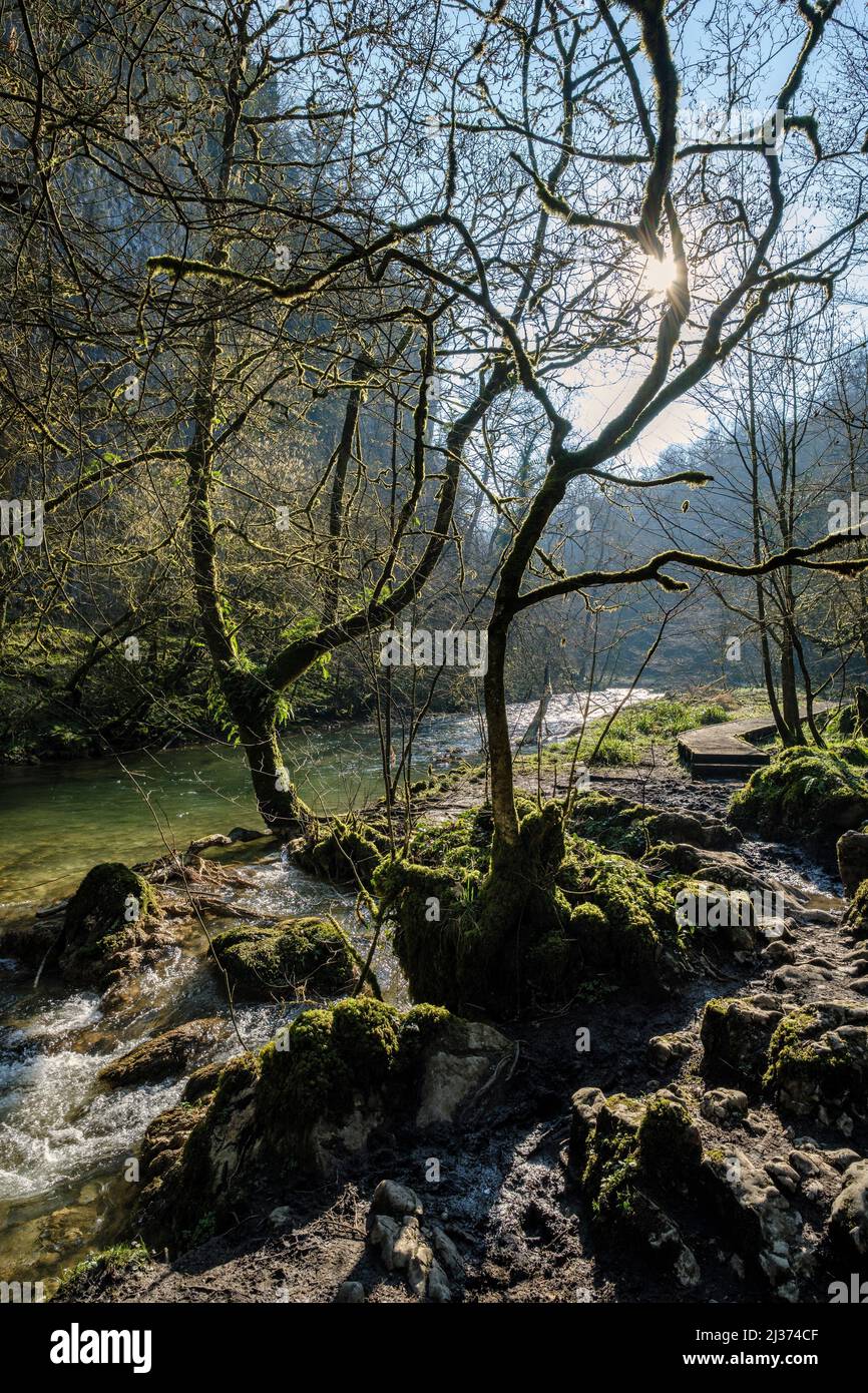 The River Wye in Chee Dale, Peak District National Park, Derbyshire, England Stockfoto