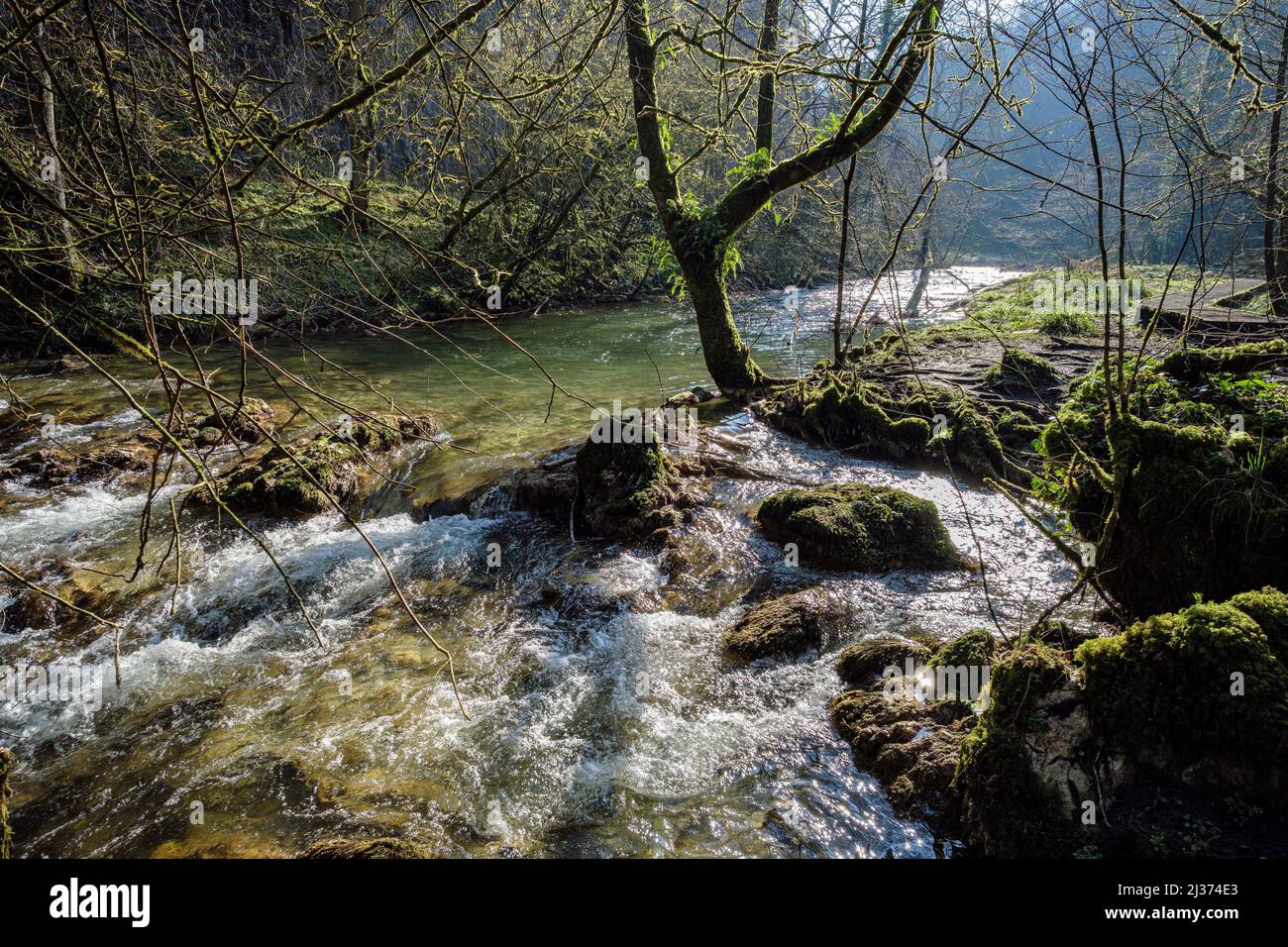 The River Wye in Chee Dale, Peak District National Park, Derbyshire, England Stockfoto