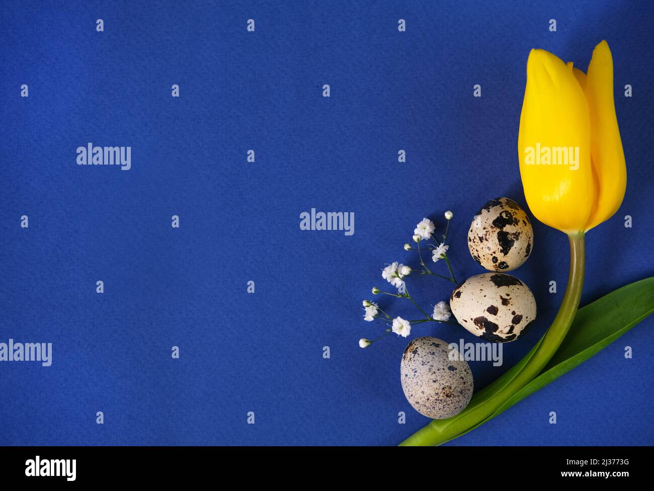 Ostereier, Tulpen und Bonbons in einem Rahmen. Frühlingsferien Hintergrund. Stockfoto