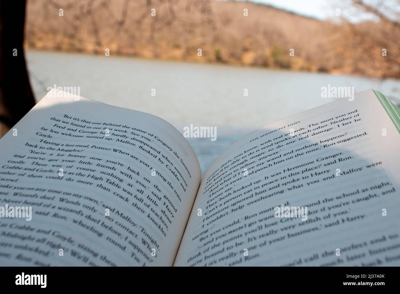 Ein Buch im Naturkonzept lesen, offenes Buch mit verschwommenem See und Wald, selektiver Fokus Stockfoto